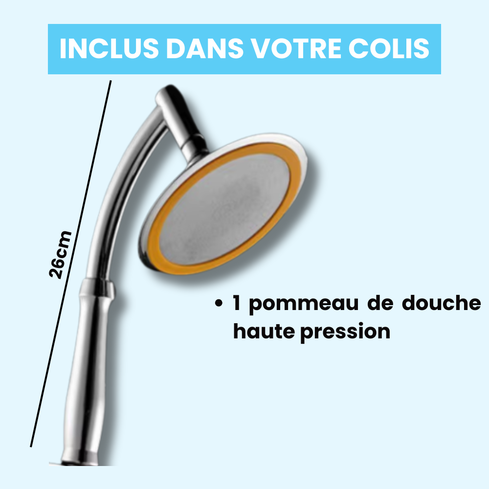 Pommeau de Douche Effet Pluie