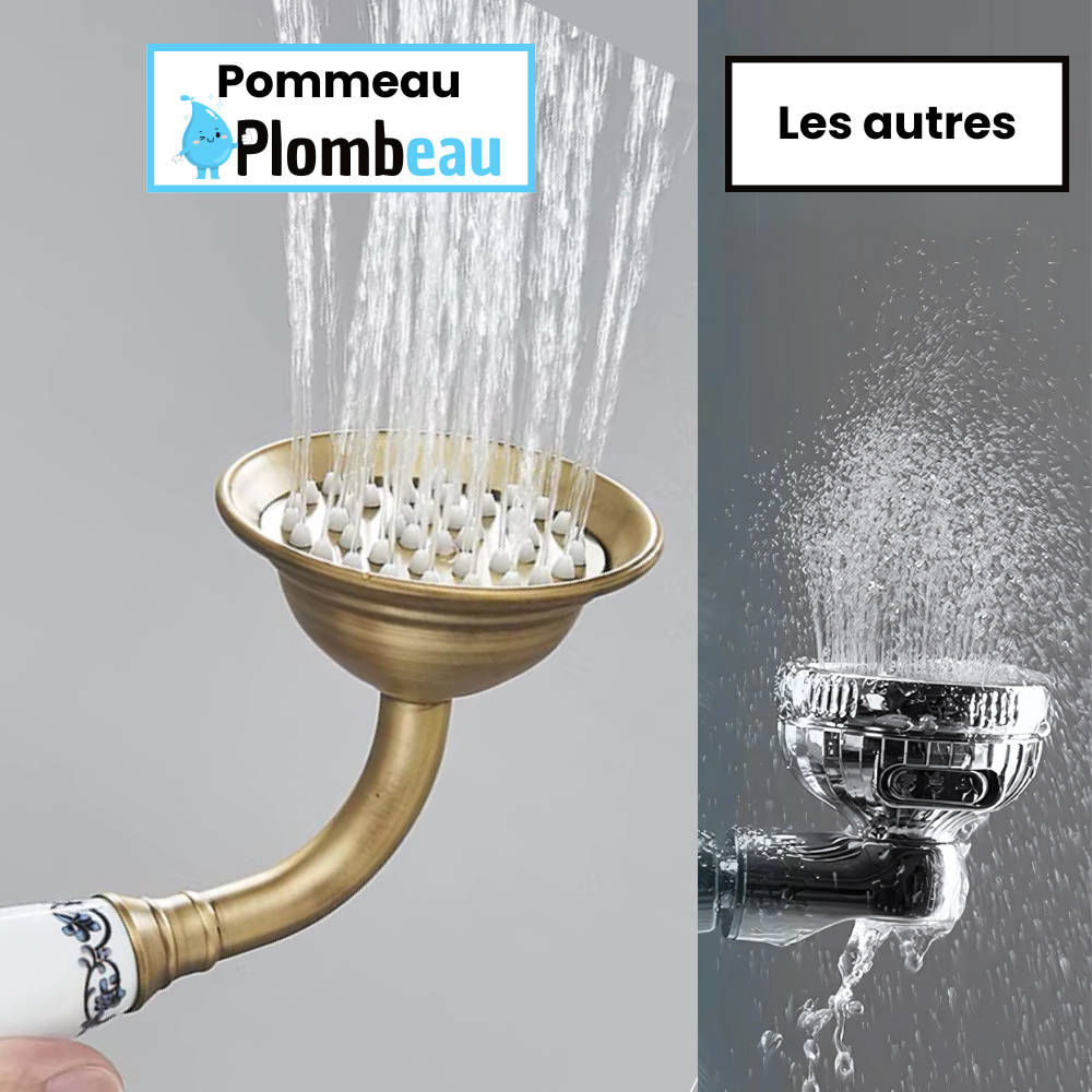 Pommeau de Douche Retro En Laiton Brossé Décoré