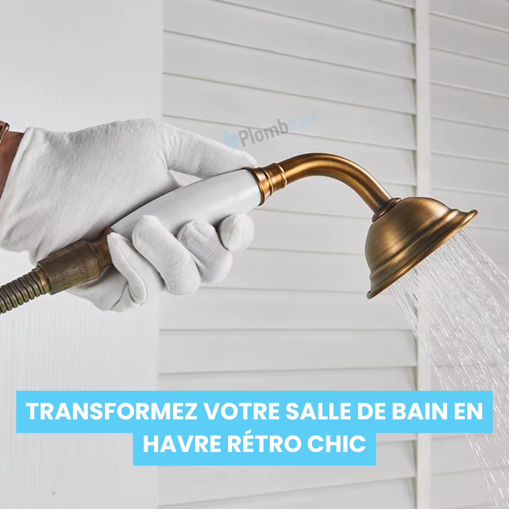 Pommeau de Douche Retro En Laiton Brossé Simple