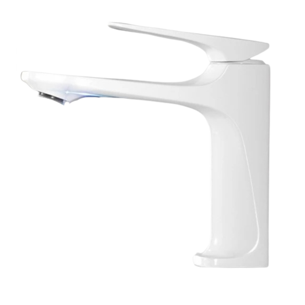Robinet de Lavabo de Salle de Bain en Acier Inoxidable