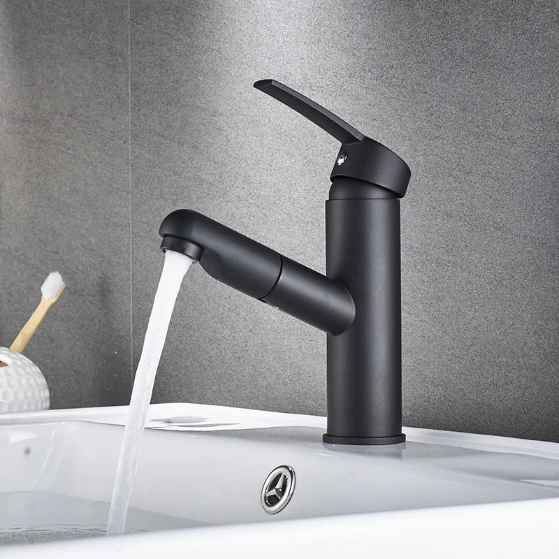 Robinet Douchette Salle de Bain
