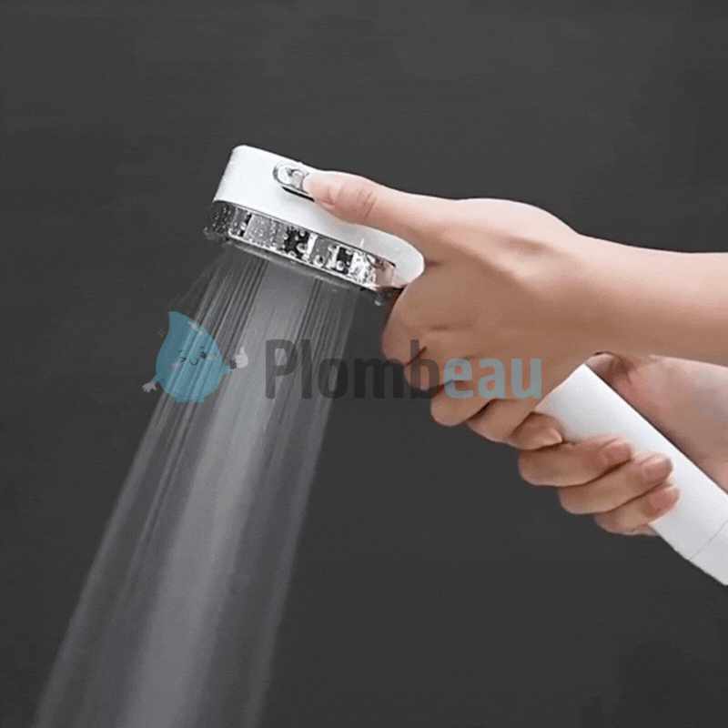 Pommeau de Douche avec Filtre