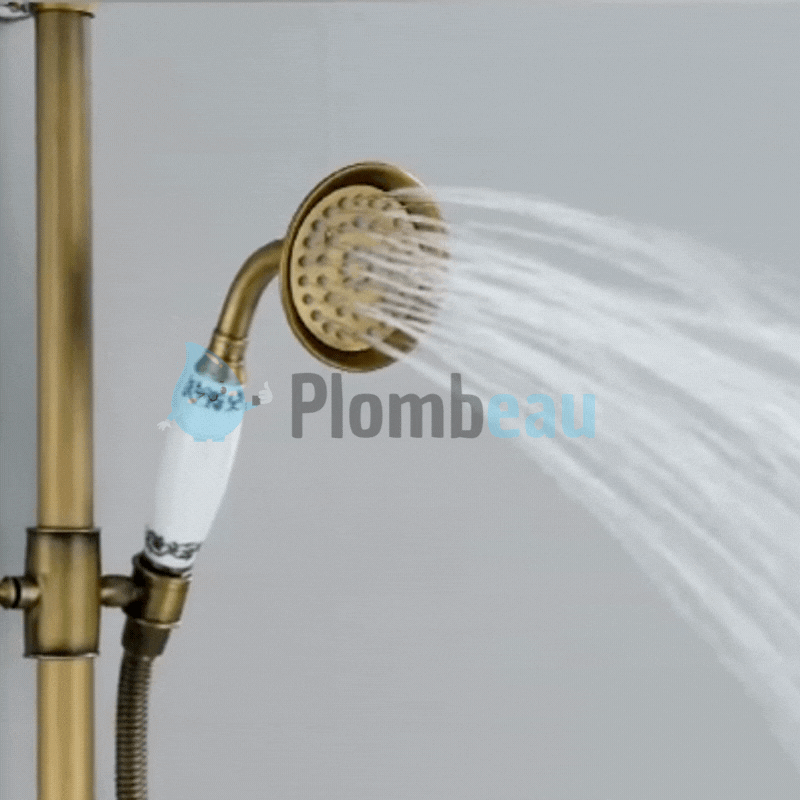 Pommeau de Douche Retro En Laiton Brossé Décoré