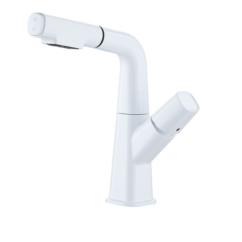 Robinet de Salle de Bain avec Douchette
