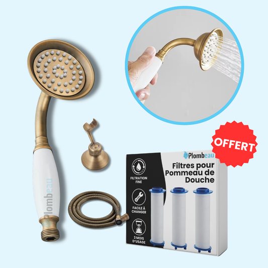 Pommeau de Douche Retro En Laiton Brossé Simple