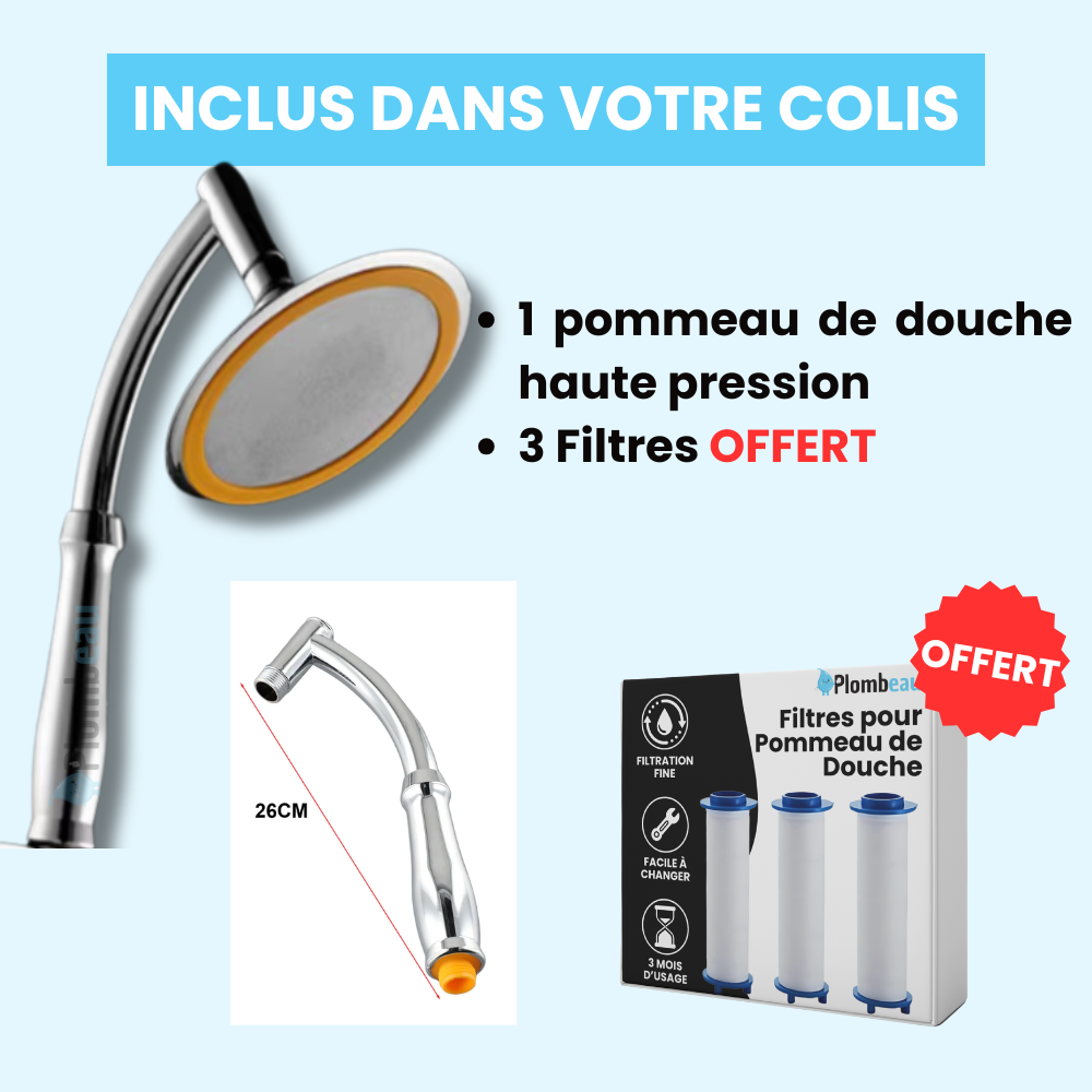 Pommeau de Douche Effet Pluie