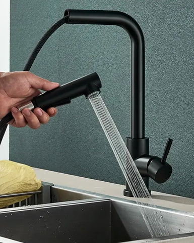 Robinet Lavabo avec Douchette Extractible en Acier Inoxydable