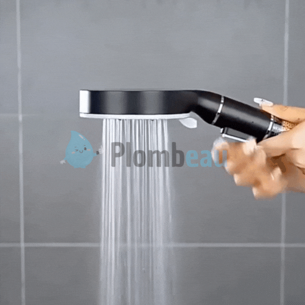 Pommeau de Douche Anti Calcaire Gris