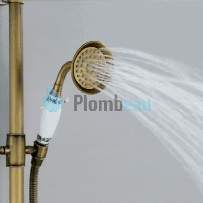 Pommeau de Douche Retro En Laiton Brossé Simple