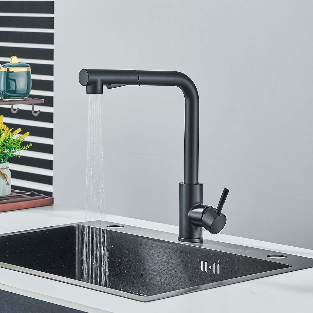 Robinet Lavabo avec Douchette Extractible en Acier Inoxydable